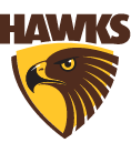 Hawthorn Hawks Guernseys icon